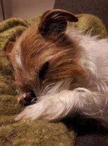 received_1842821745818178