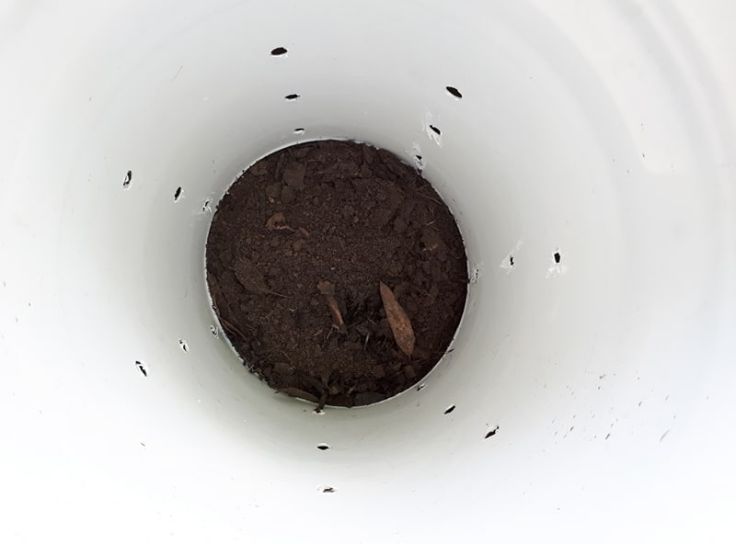 received_2120553071291243