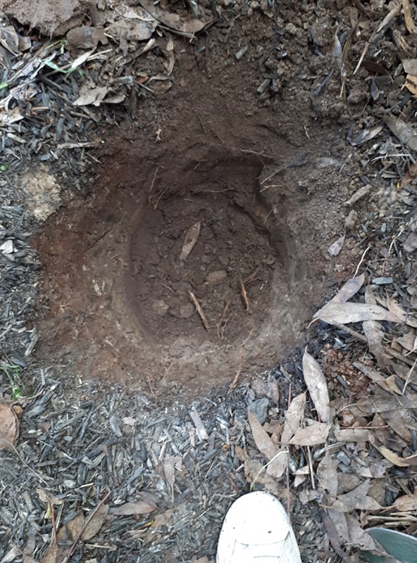 received_249748422391331