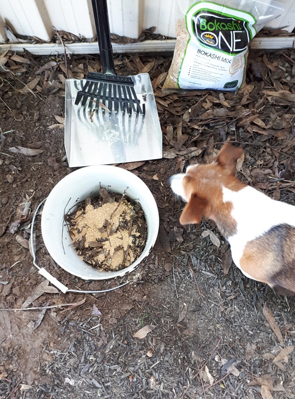 received_336287637124626