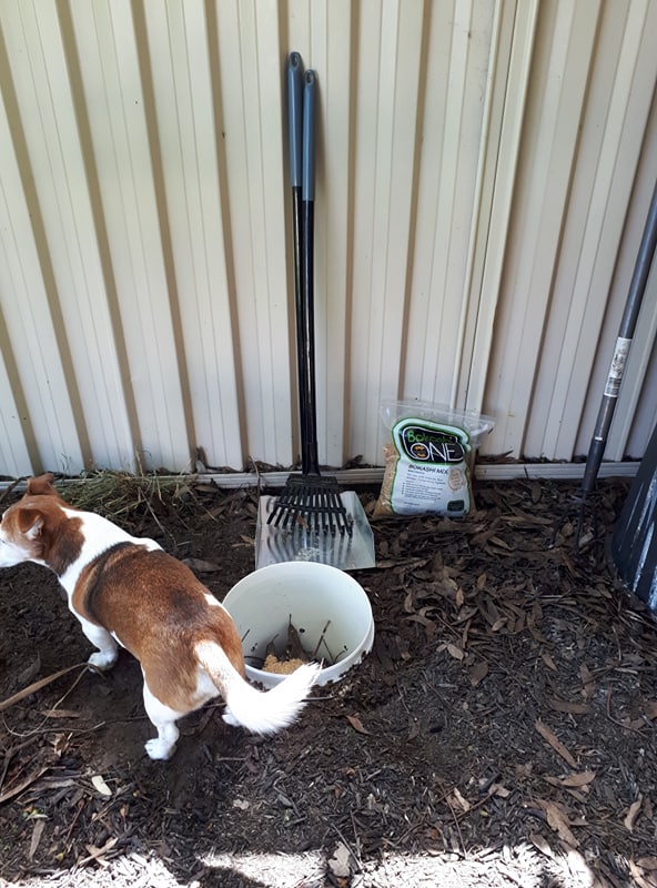 received_336598666899125