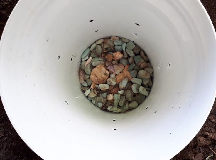 received_420062995192368