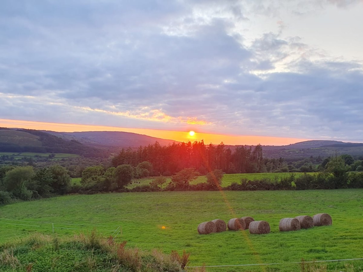 The Pesticide Cocktail&nbsp;Effect